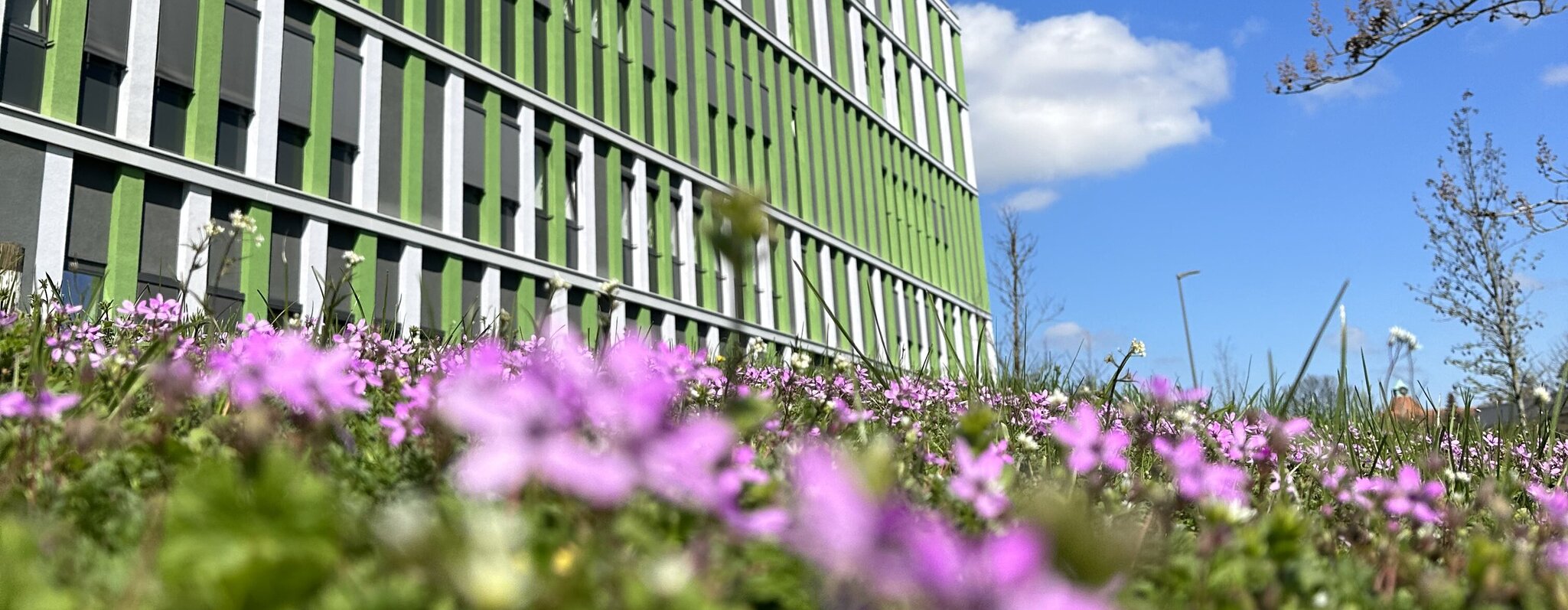 Aussenansicht Innere Medizin