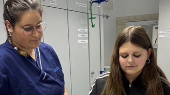 Schulzentrum Ausbildungsmesse November 2024